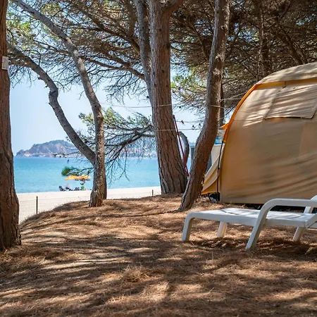 Kamp alanı Iscrixedda